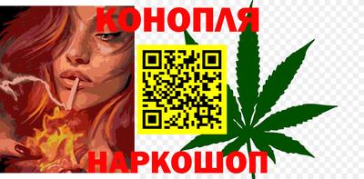 сатива Краснознаменск
