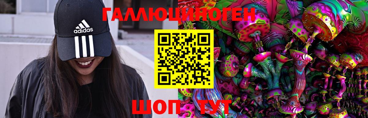 Галлюциногенные грибы Psilocybe  Галлюциногенные грибы Cubensis  магазин продажи наркотиков  Вход с VPN  Коряжма 
